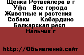 Щенки Ротвейлера в г.Уфа - Все города Животные и растения » Собаки   . Кабардино-Балкарская респ.,Нальчик г.